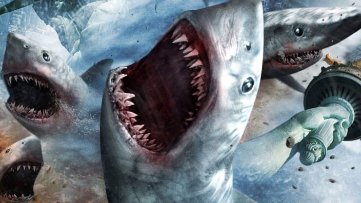 Enough With The Shark Attack Hysteria