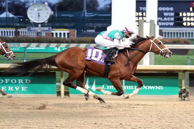 Kentucky Derby Runner Up Mandaloun Set For Pegasus Stakes