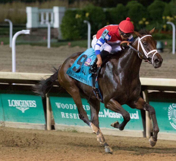 2022 Preakness Stakes Betting Preview