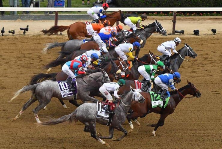 Belmont Contenders Update: Random Thoughts And Morning Line Odds Predictions