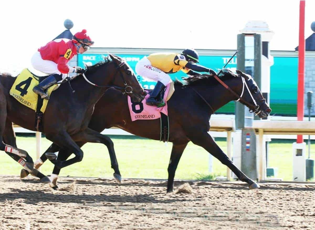 Brigadier General Scratched From Ohio Derby, Will Target Indiana Derby