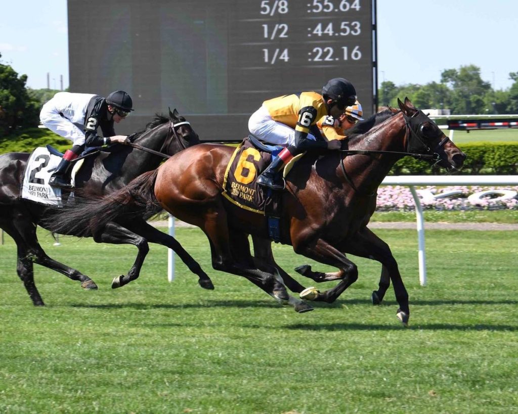 Horse Racing Picks For Friday’s Card At Belmont Park