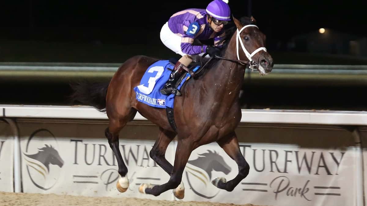 Tawny Port Wins Grade 3, 500,000 USD Ohio Derby