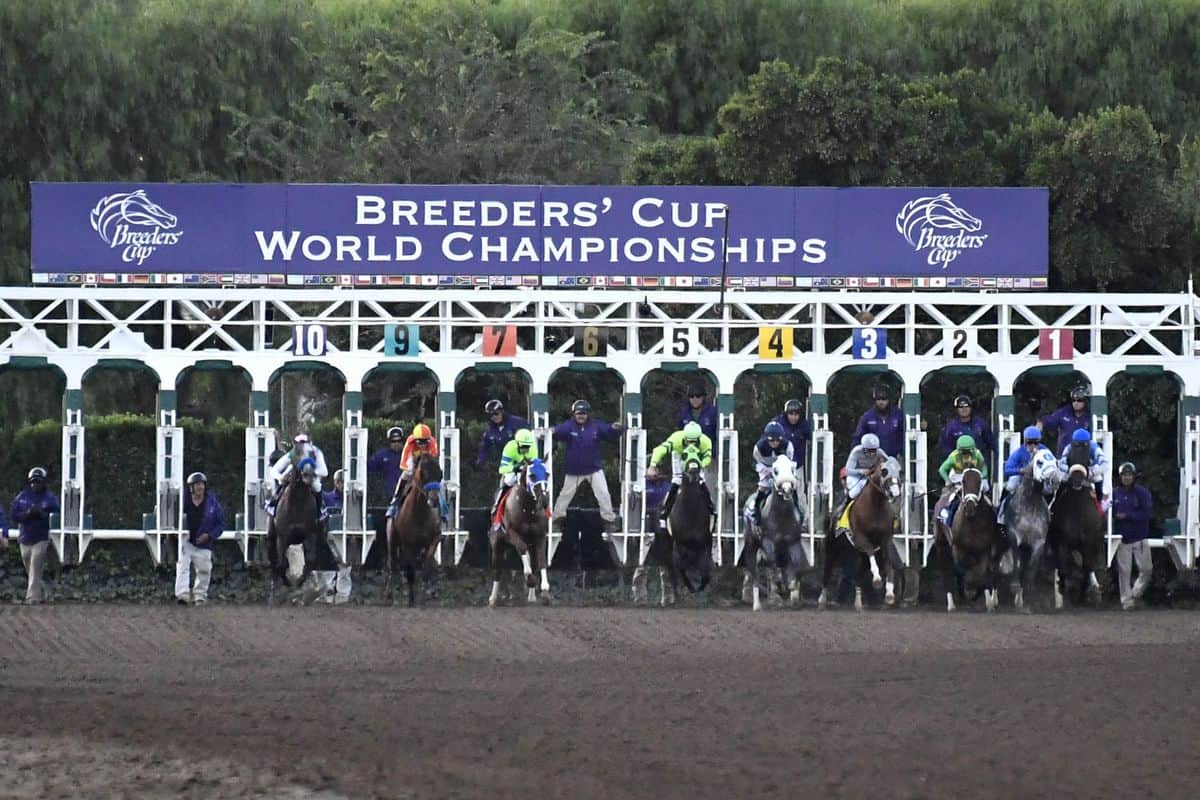 Breeders’ Cup Classic Betting Odds and Predictions