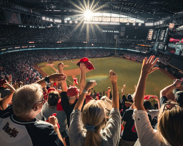 Why Bet on Sports?