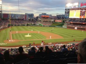 MLB